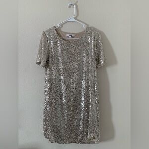 BB Dakota Sparkling Sequin Mini Dress in Silver